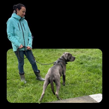 Hundeverhaltensberatung und -Therapie in der Region Esslingen, Göppingen und Kirchheim unter Teck