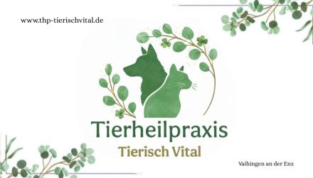 Tierheilpraxis Tierisch Vital
