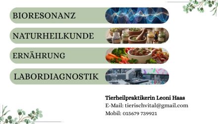 Tierheilpraxis Tierisch Vital