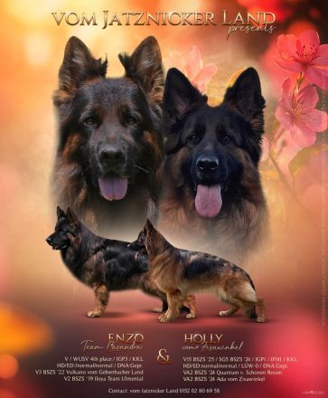 Deutsche Schäferhunde vom Jatznicker Land