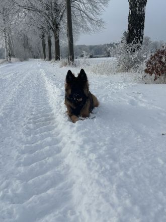 Suchen liebevolles Zuhause