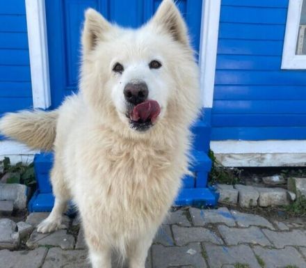 Über Vicky die Stolze