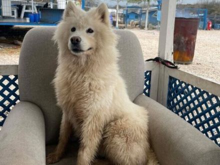 Über Vicky die Stolze