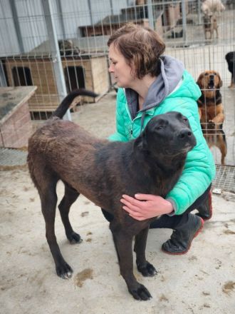 Dunncan sucht sein Für-immer-Zuhause