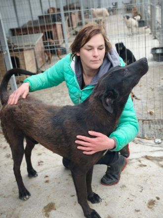 Dunncan sucht sein Für-immer-Zuhause