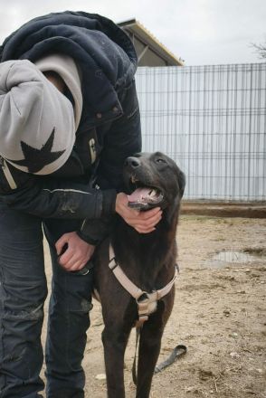 Dunncan sucht sein Für-immer-Zuhause