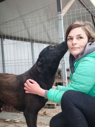 Dunncan sucht sein Für-immer-Zuhause