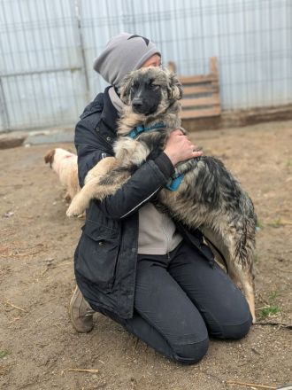 Franzl sucht sein Für-immer-Zuhause