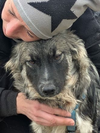 Franzl sucht sein Für-immer-Zuhause