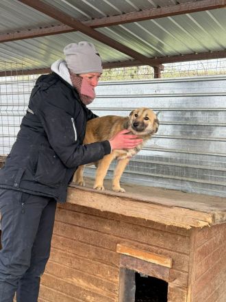 Faye sucht ihr Für-immer-Zuhause
