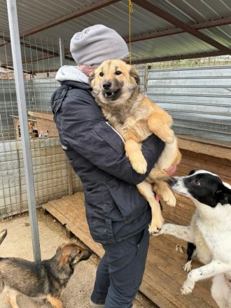 Faye sucht ihr Für-immer-Zuhause