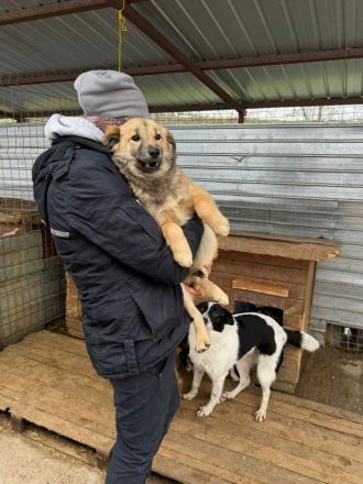 Faye sucht ihr Für-immer-Zuhause
