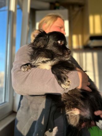 Loisl sucht sein Für-immer-Zuhause