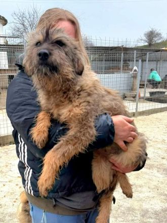 Smoky sucht ihr Für-immer-Zuhause