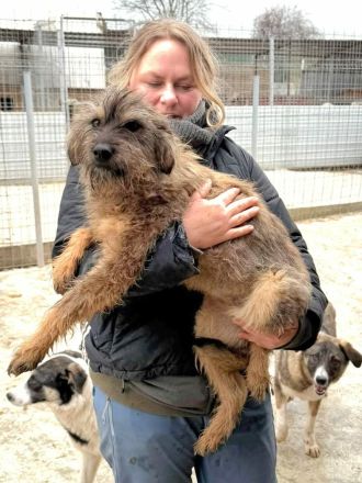 Smoky sucht ihr Für-immer-Zuhause