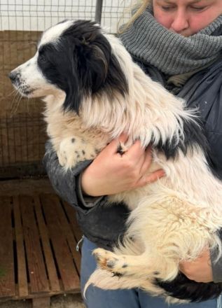 Patty sucht ihr Für-immer-Zuhause