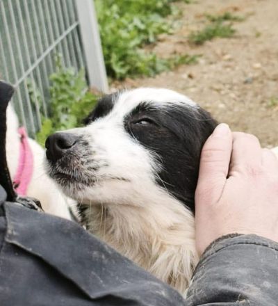 Patty sucht ihr Für-immer-Zuhause