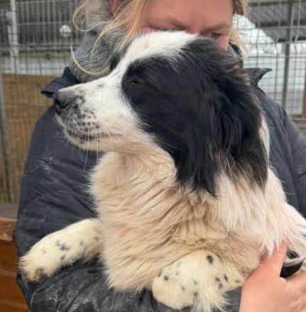 Patty sucht ihr Für-immer-Zuhause