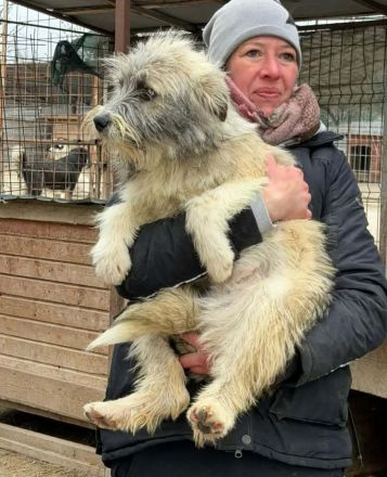 Polly sucht ihr Für-immer-Zuhause