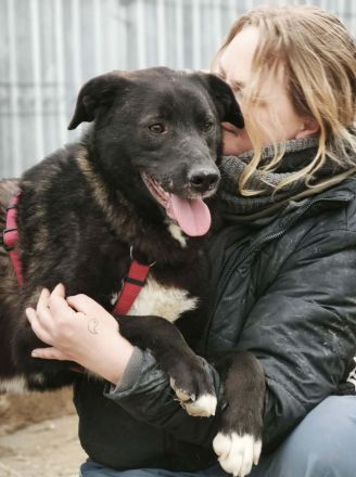 Peppi sucht sein Für-immer-Zuhause