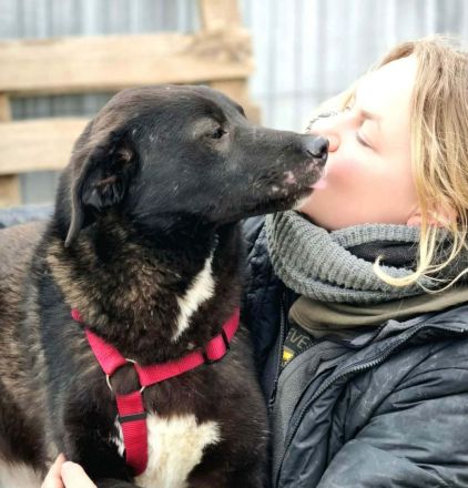 Peppi sucht sein Für-immer-Zuhause