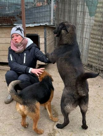 Peppi sucht sein Für-immer-Zuhause