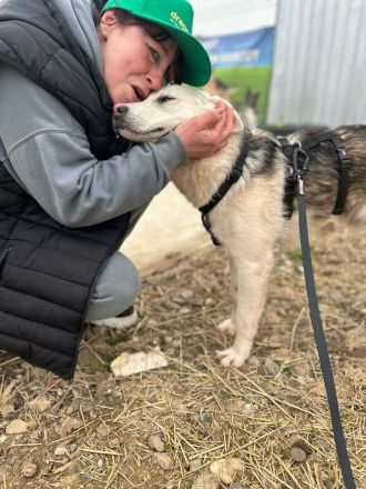 Mike sucht sein Für-immer-Zuhause