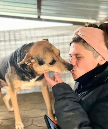 Sadie sucht ihr Für-immer-Zuhause