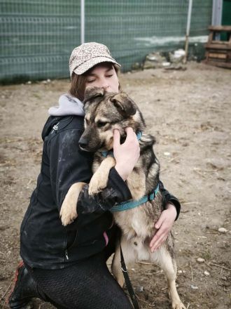 Timmon sucht sein Für-immer-Zuhause