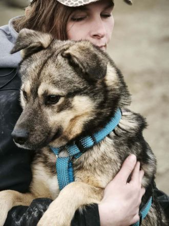 Timmon sucht sein Für-immer-Zuhause