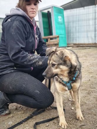 Timmon sucht sein Für-immer-Zuhause