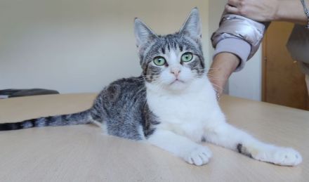 Die süße Margarita wünscht sich eine liebe Familie