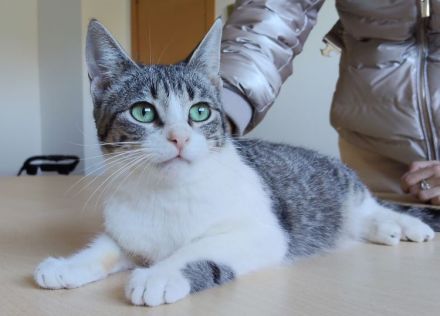 Die süße Margarita wünscht sich eine liebe Familie