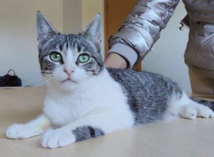 Die süße Margarita wünscht sich eine liebe Familie