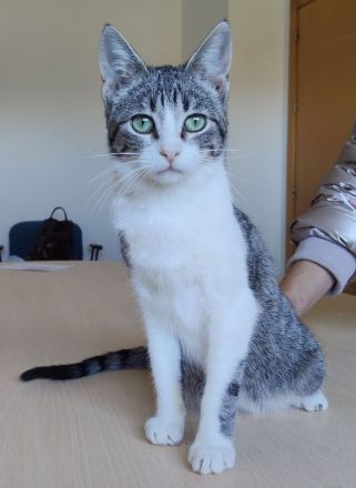 Die süße Margarita wünscht sich eine liebe Familie