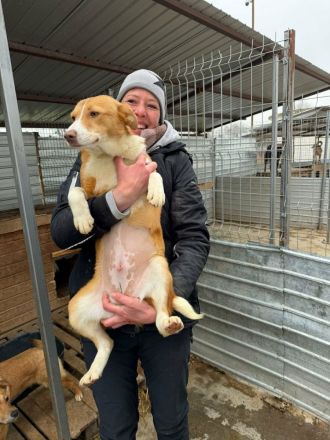 Indra sucht ihr Für-immer-Zuhause