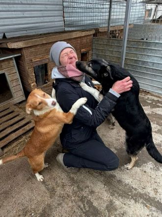 Indra sucht ihr Für-immer-Zuhause