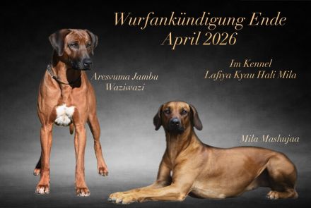 Lafiya Kyau Hali Mila