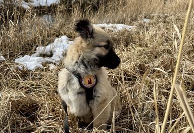 Flora - zuckersüß und lieb