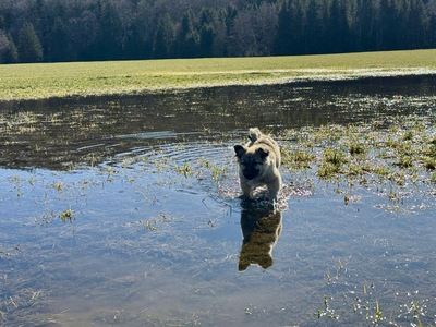 Flora - zuckersüß und lieb