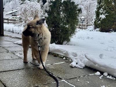 Flora - zuckersüß und lieb