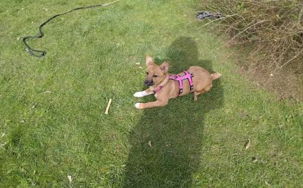 Zauberhafte kleine Marla