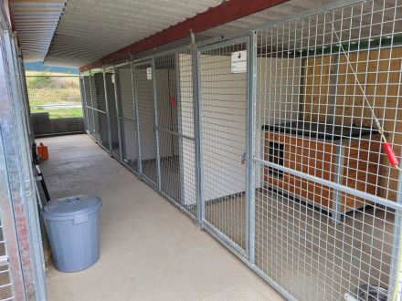 Hundepension Wilhelmswalze - Urlaub für Deinen Hund