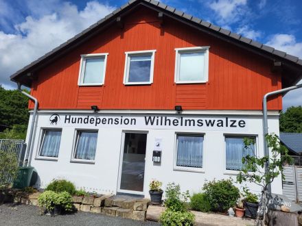 Hundepension Wilhelmswalze - Urlaub für Deinen Hund