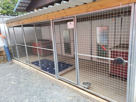 Hundepension Wilhelmswalze - Urlaub für Deinen Hund