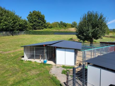 Hundepension Wilhelmswalze - Urlaub für Deinen Hund