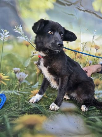 Sera, lieb aber noch etwas schüchtern