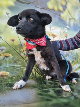 Sera, lieb aber noch etwas schüchtern