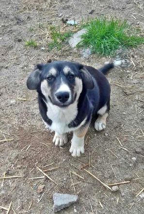 Agador, lieb und freundlich