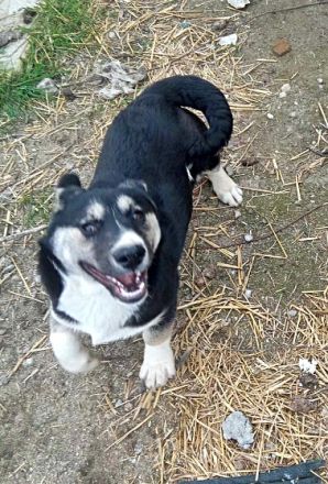Agador, lieb und freundlich